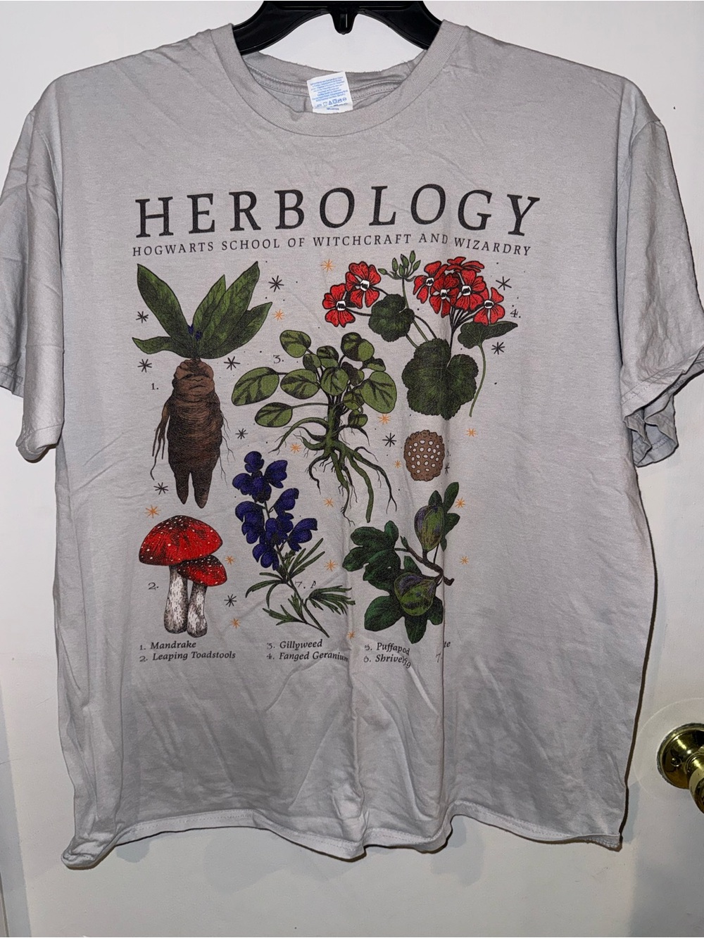 Harry Potter- Herbiology Graphic Tee - Light Gray short sleeve tee men’s XL